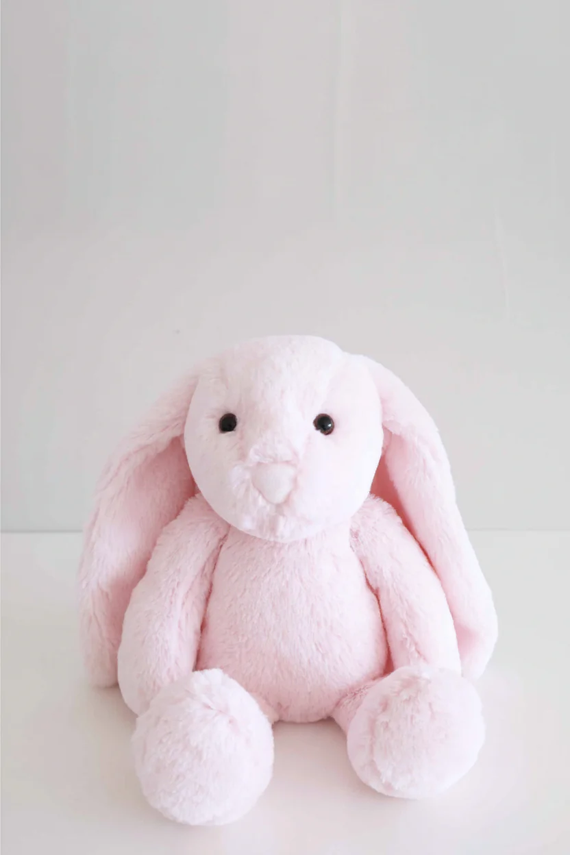 Large Cuddle Plush Friends | Honey Bunny - Image 19
