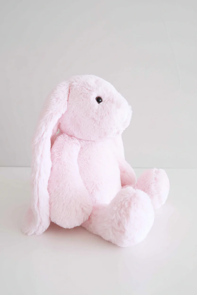 Large Cuddle Plush Friends | Honey Bunny - Image 25
